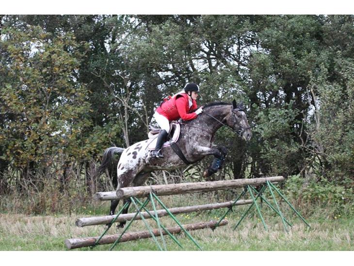 {{currentPhoto.altText}} billede {{currentPhoto.number}}