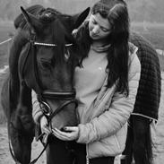 Trakehner Heart-core