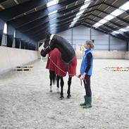 Anden særlig race Shanti <3