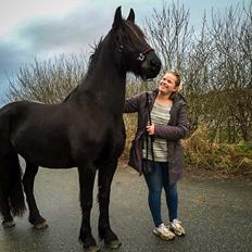 Frieser Imalia van schäfer