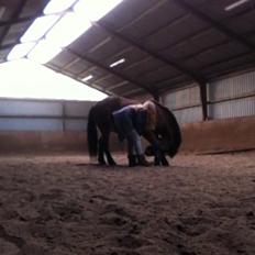 Anden særlig race Else { part }