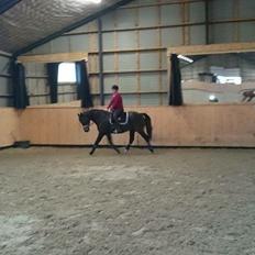 Oldenborg Another one 2 (Dundee)