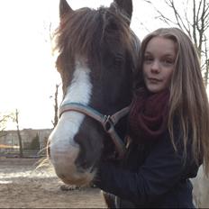 Anden særlig race Sparky