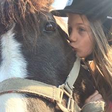 Anden særlig race Sparky