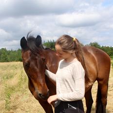 Dansk Varmblod Nødelunden´s Quite Temper/Flicka