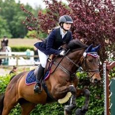 Dansk Varmblod Nødelunden´s Quite Temper/Flicka