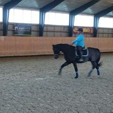 Oldenborg Another one 2 (Dundee)