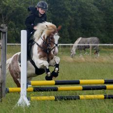 Anden særlig race Mr Mulle *Min soulmate*