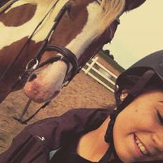 Pinto Amazing Apache