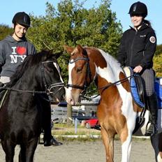 Pinto Amazing Apache