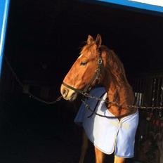 Frederiksborg Felix Landlyst SOLGT