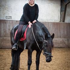 Frieser Imalia van schäfer