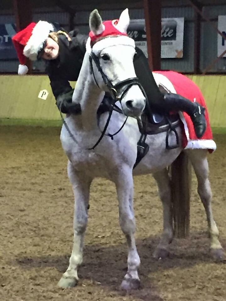 Anden særlig race Milleniums Maybe billede 8