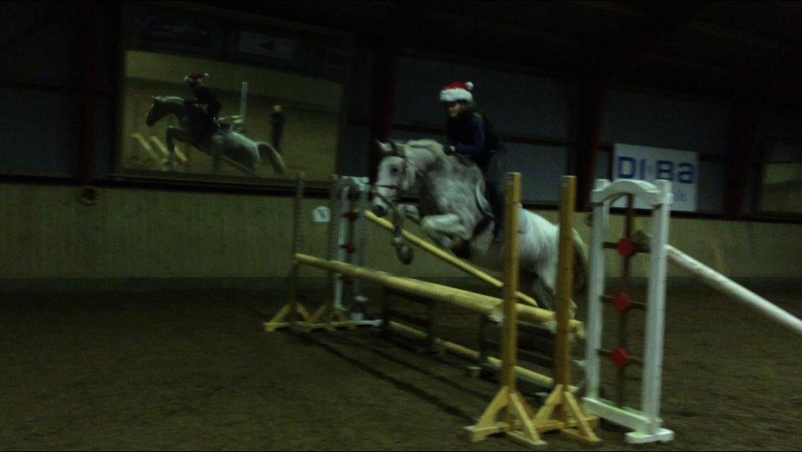 Anden særlig race Milleniums Maybe billede 9