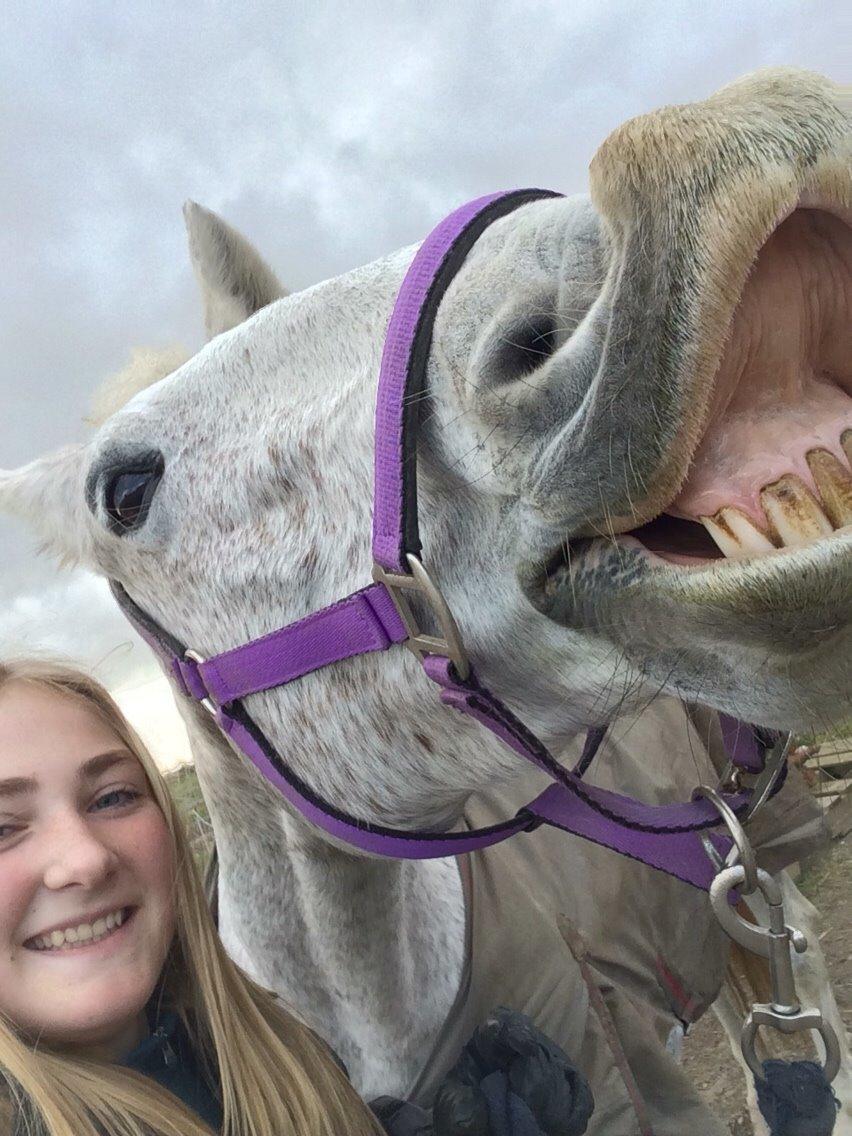 Anden særlig race Milleniums Maybe billede 10