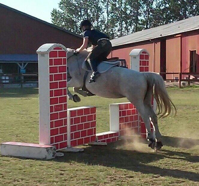 Anden særlig race Milleniums Maybe billede 12