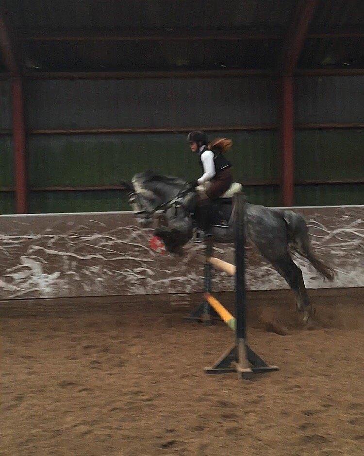 Anden særlig race Bækkeskovens Hurricane billede 9