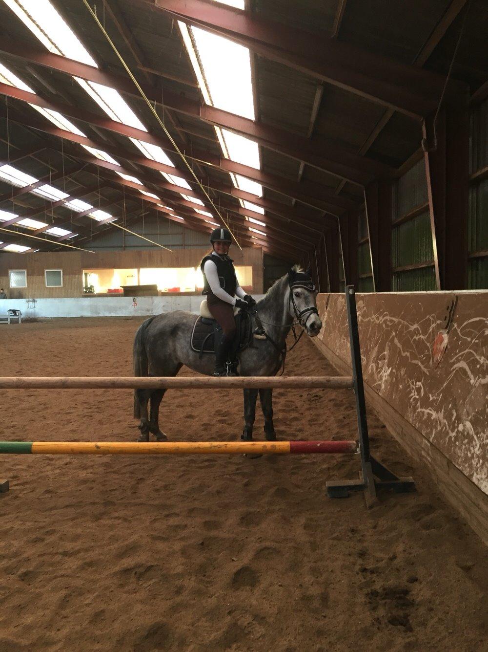 Anden særlig race Bækkeskovens Hurricane billede 10