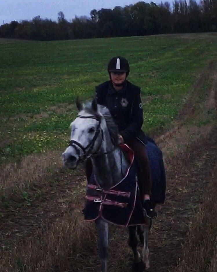 Anden særlig race Bækkeskovens Hurricane billede 15