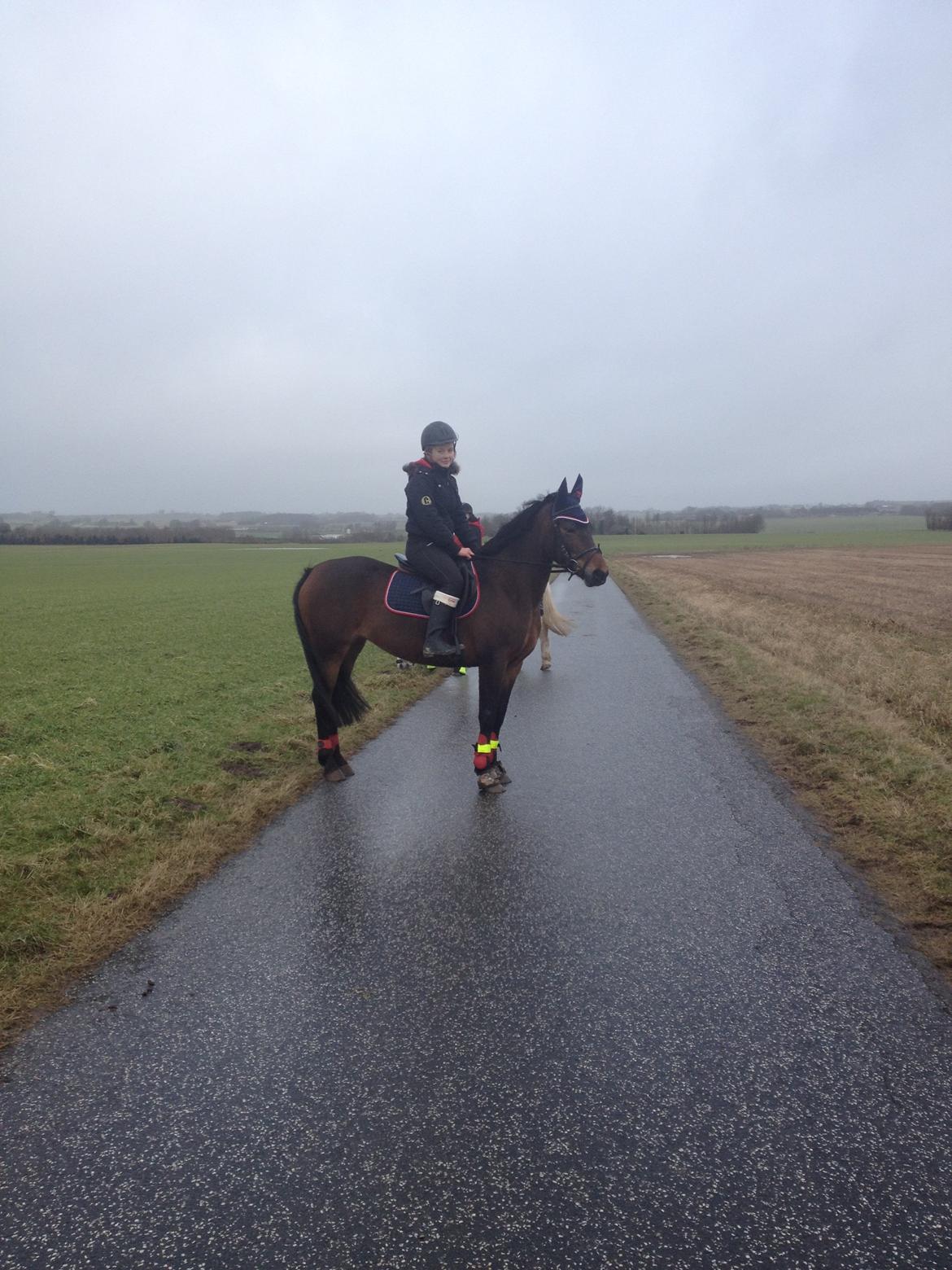 DSP Chanel - fra den dag jeg fik hende<3 billede 1