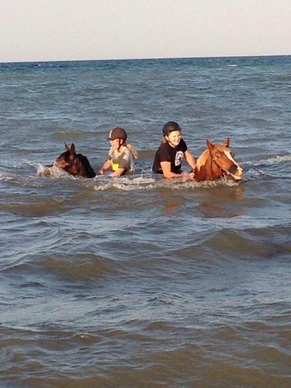 DSP Chanel billede 4