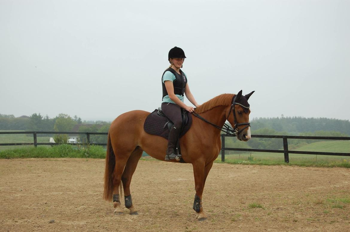 Anden særlig race Sille billede 3