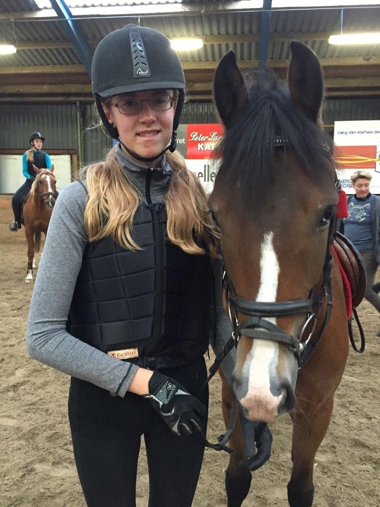 Anden særlig race Viggo (Navarro) - efter en god spring time billede 6