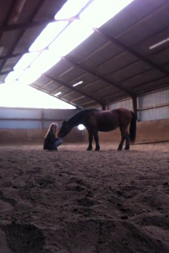 Anden særlig race Else { part } billede 4