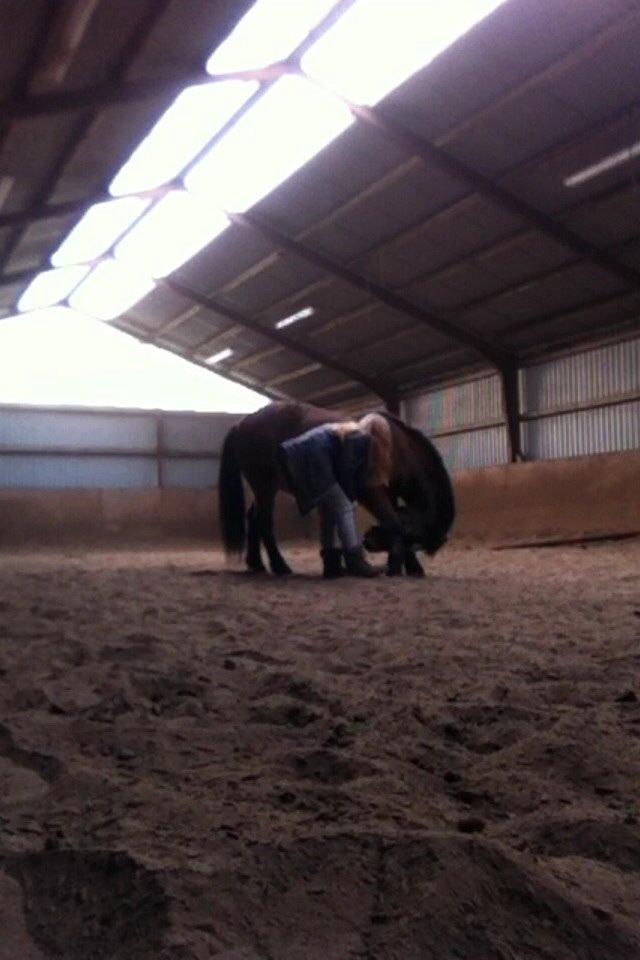 Anden særlig race Else { part } billede 3