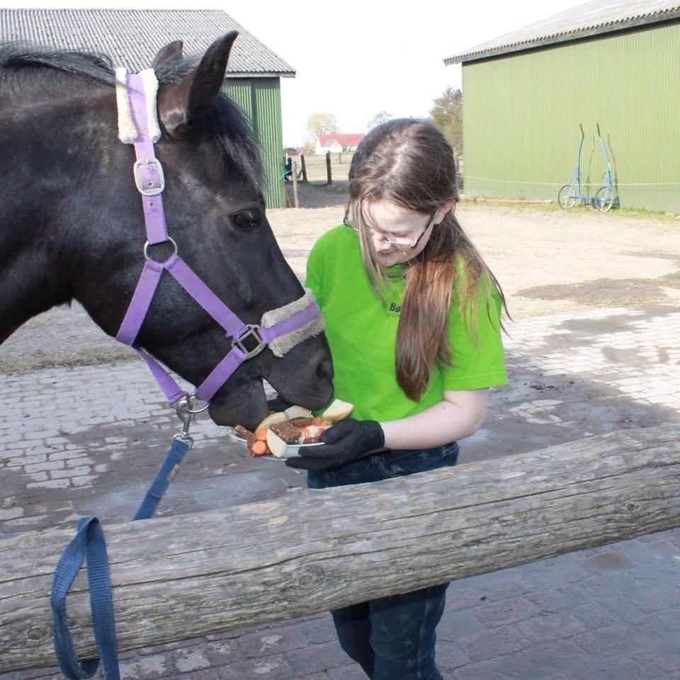New Forest Kronborggaards Gigolo -  kage på vores 1års dag  billede 12