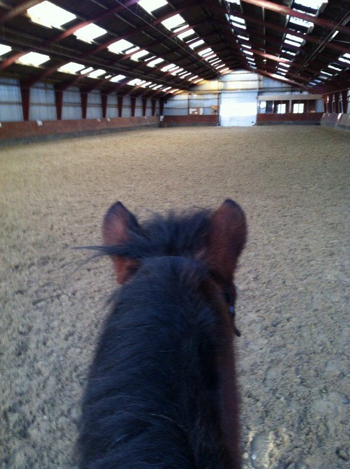 Anden særlig race Else { part } billede 16