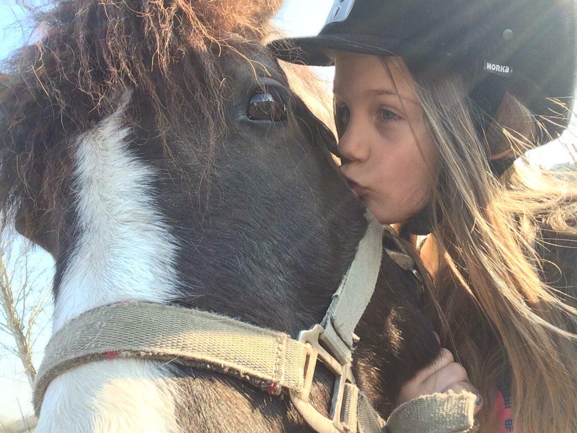 Anden særlig race Sparky billede 1