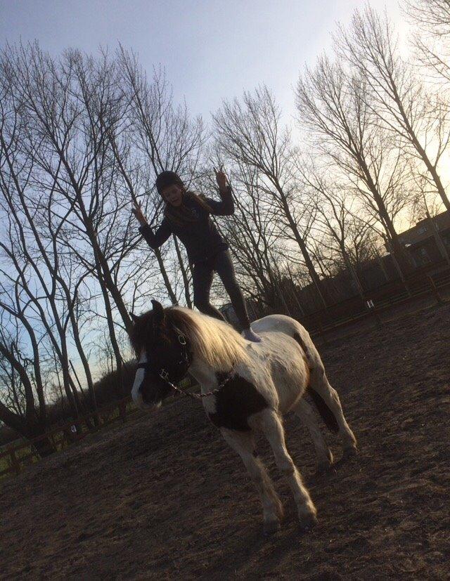 Anden særlig race Sparky billede 6