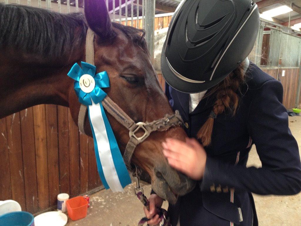 Dansk Varmblod Nødelunden´s Quite Temper/Flicka billede 5