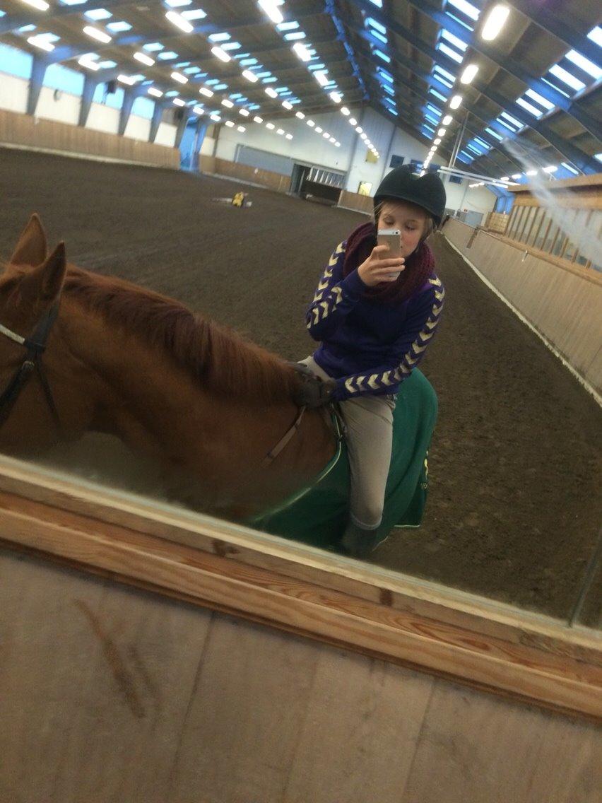 Holstener Cara billede 6