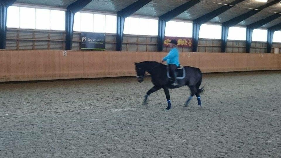 Oldenborg Another one 2 (Dundee) - min stjerne billede 2