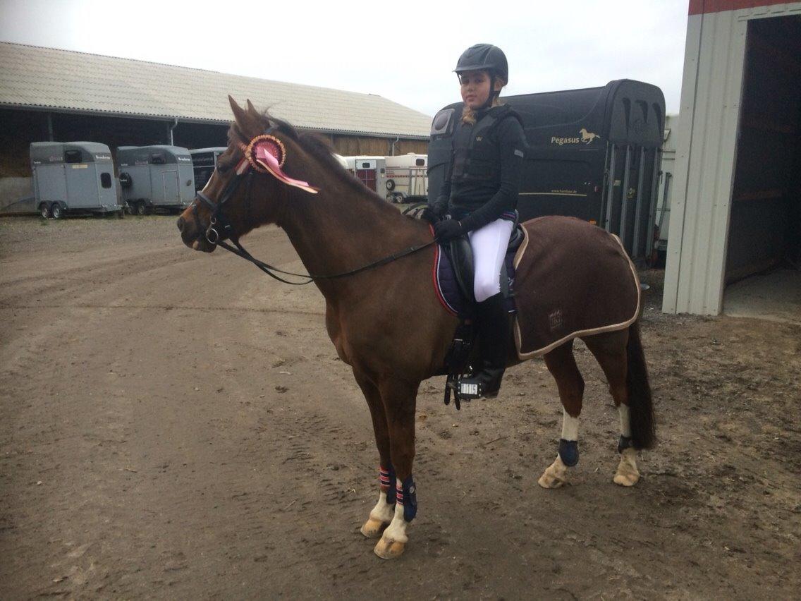 DSP Carla damgård - spring stævne billede 4