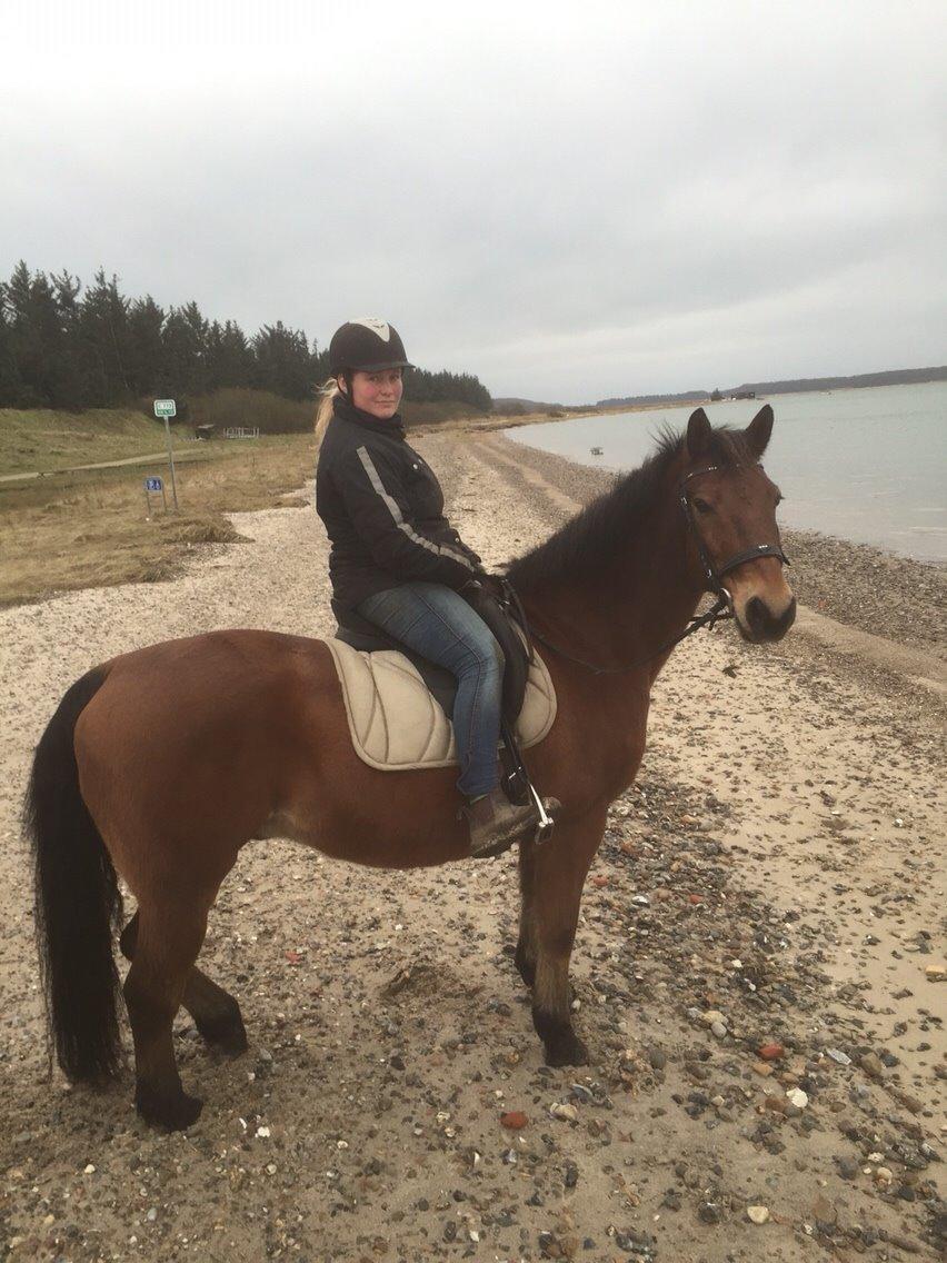 Anden særlig race Sebastian billede 17