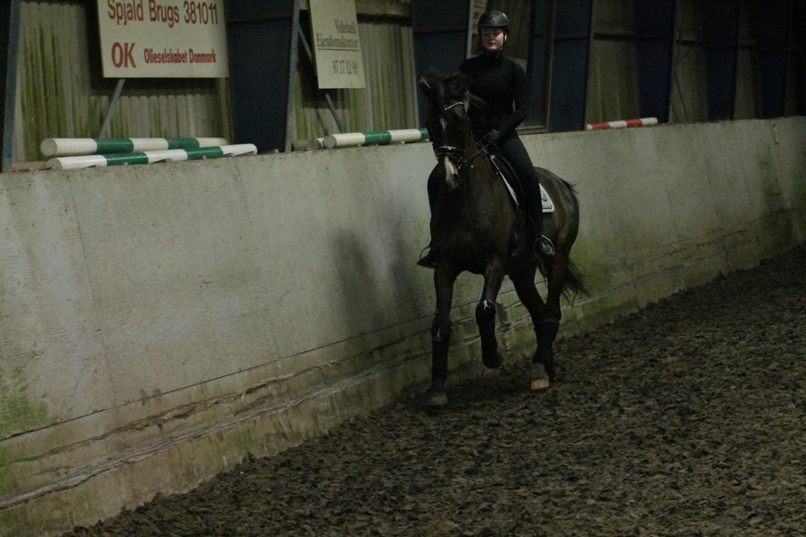 Holstener HOLTELAND BELLISSIMO billede 17