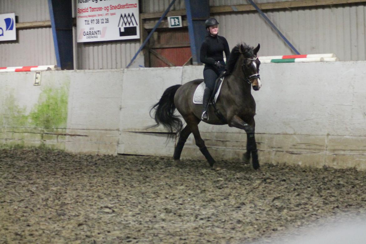 Holstener HOLTELAND BELLISSIMO billede 20