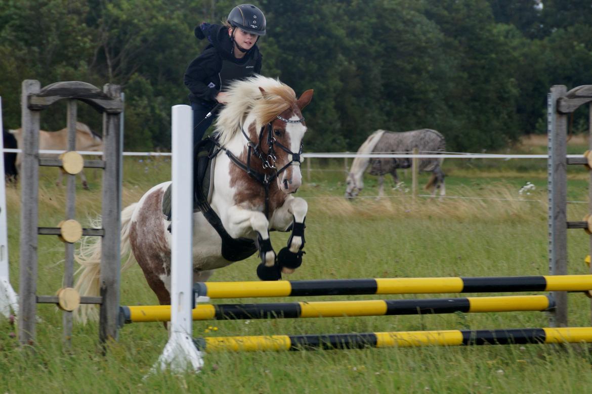 Anden særlig race Mr Mulle *Min soulmate* - Velkommen til Mulle´s profil:D billede 2