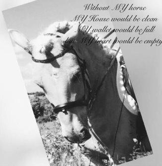 Anden særlig race Mikado billede 2