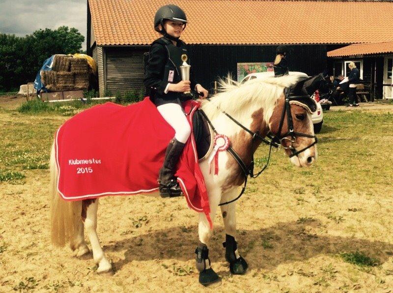 Anden særlig race Mr Mulle *Min soulmate* - Klubmester 2015 billede 13