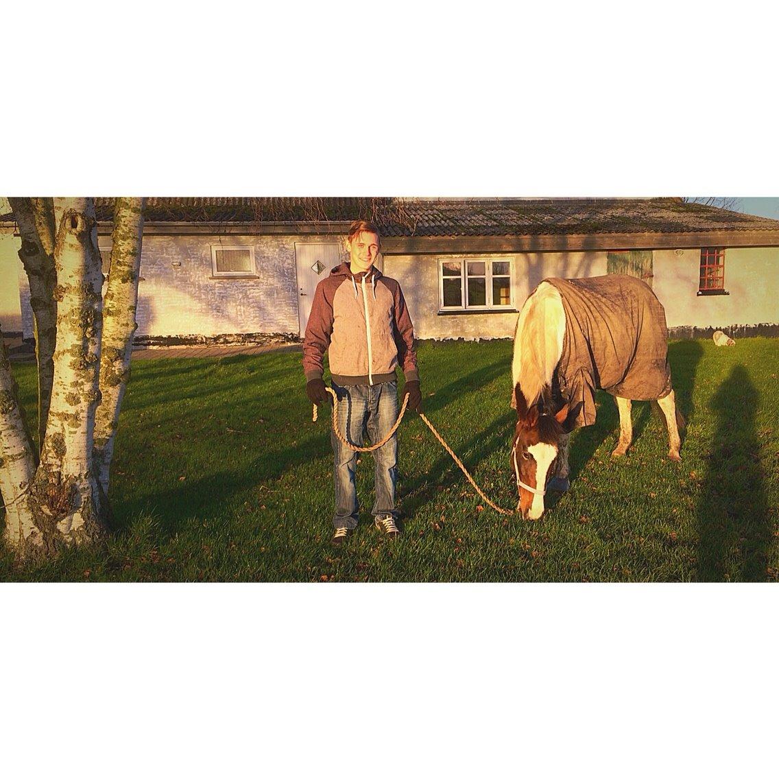 Pinto Rosenlyst's Queen Of Hearts billede 14