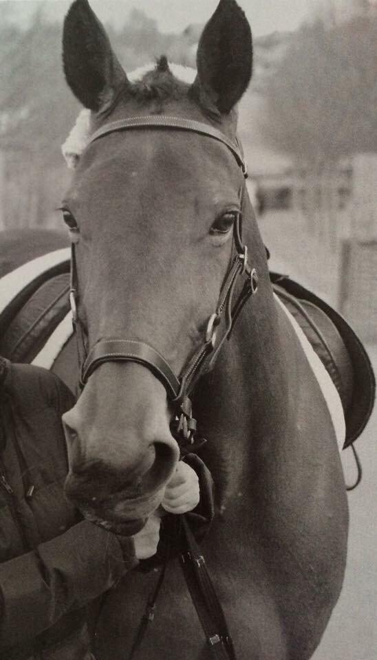 Traver Join Ecoflow - Join til min konfirmation 1. maj 2015 billede 3