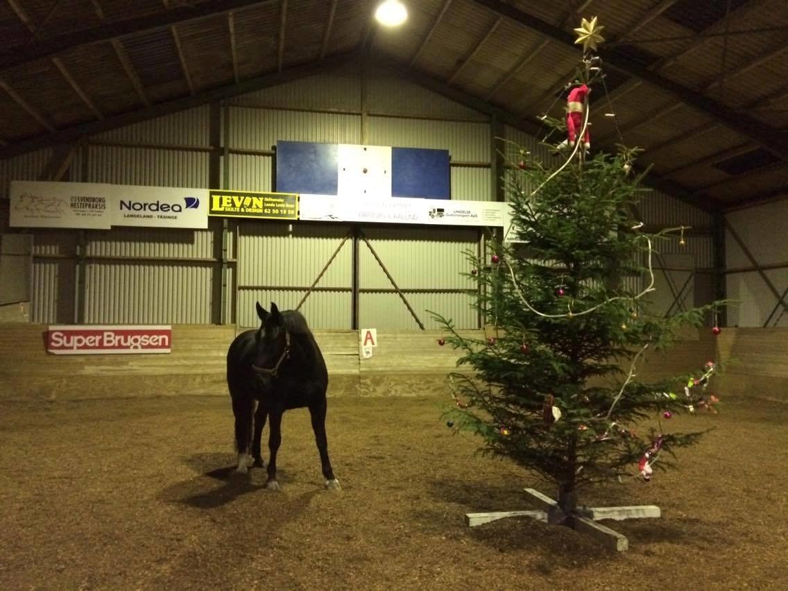 Oldenborg Maggie Tisted - December 2015 billede 49