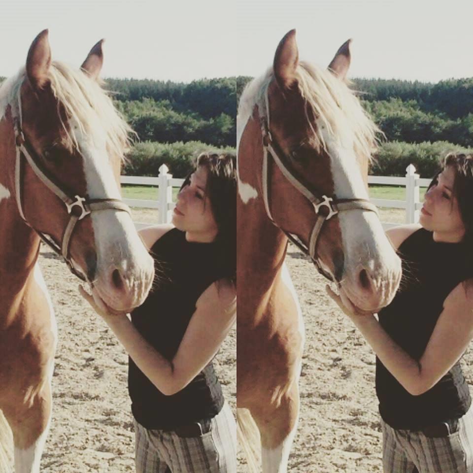 Pinto Amazing Apache billede 1