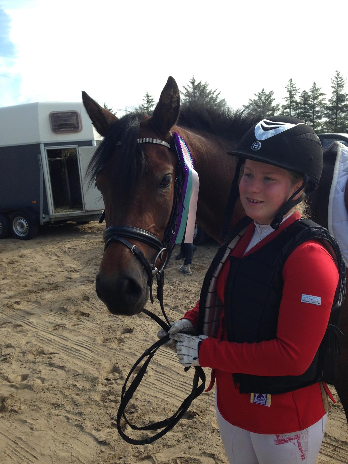 New Forest Vognmandgårdens Bernadotte billede 8