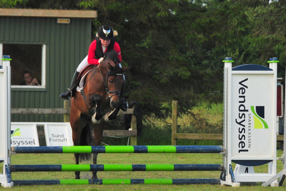 New Forest Vognmandgårdens Bernadotte billede 9