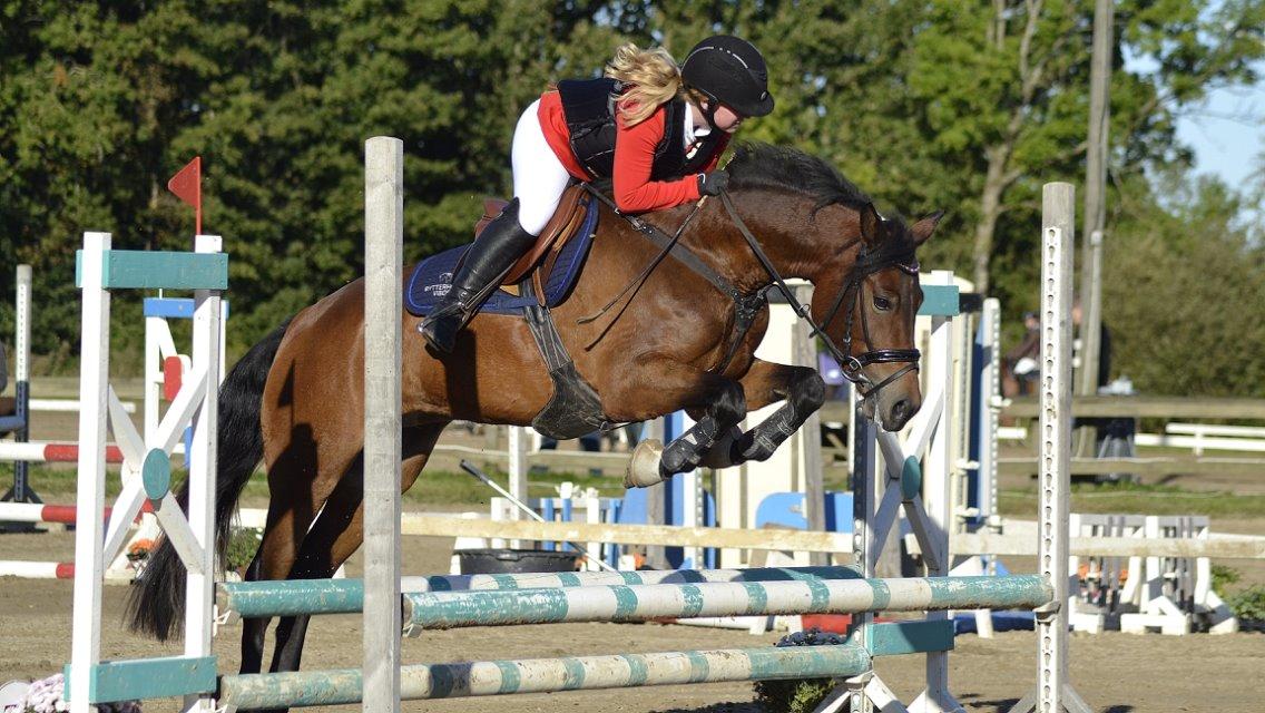 New Forest Vognmandgårdens Bernadotte billede 17